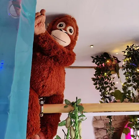 Wonder Paraiso Magico A 2 Min De La Playa B&B