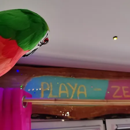 Wonder Paraiso Magico A 2 Min De La Playa 네르하