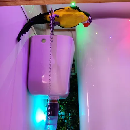 B&B Wonder Paraiso Magico A 2 Min De La Playa 3*