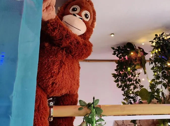 Wonder Paraiso Magico Couette-café