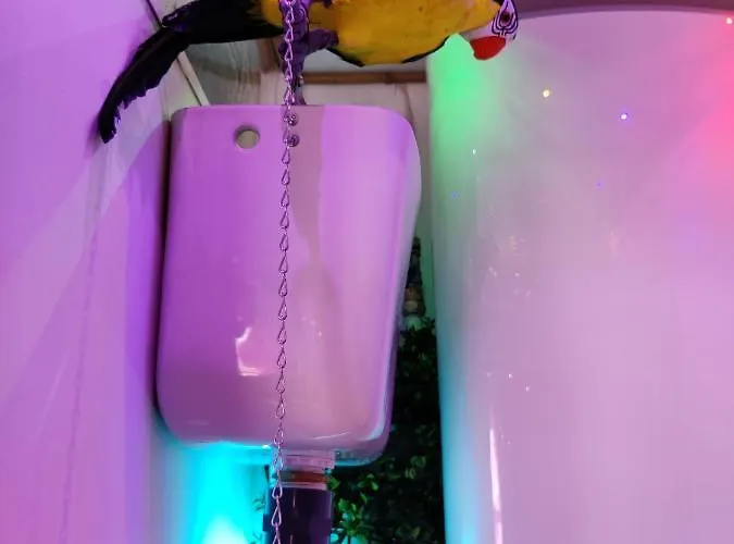 Wonder Paraiso Magico 3*