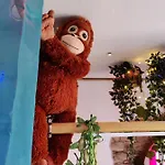 Wonder Paraiso Magico Отель типа 