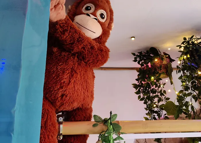 Wonder Paraiso Magico