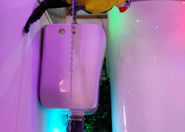 Bed and breakfast Wonder Paraiso Magico 3*